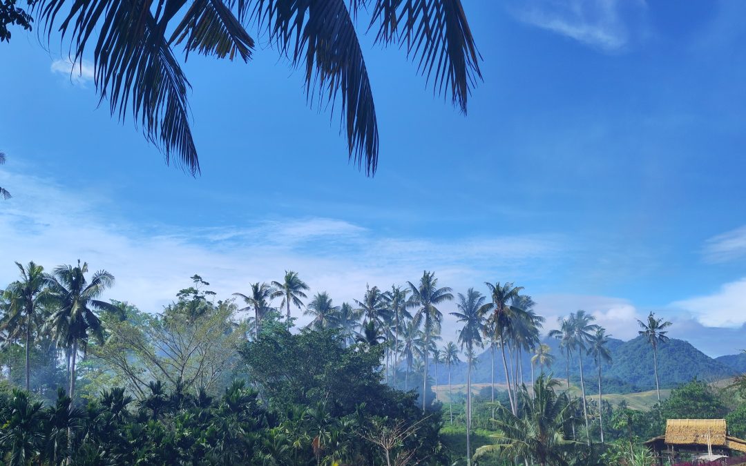 5 March: Rev Rich on the Solomon Islands and Climate Change